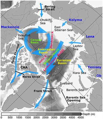 Circulation Pathways and Exports of Arctic River Runoff Influenced by Atmospheric Circulation Regimes